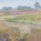 Heide plein-air 2 60 x 40 olieverf op doek